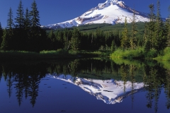 Mt_Hood_TrilliumLake-1
