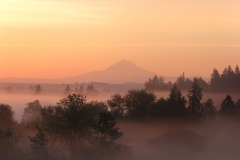 Mt_Hood_in_Mists40-1