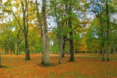 fall